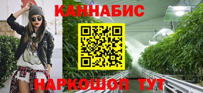 МДПВ Партизанск