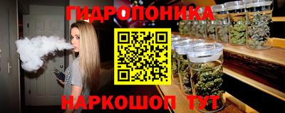 МДПВ Партизанск