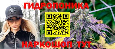 МДПВ Партизанск