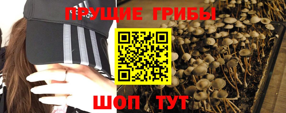 Самара  Псилоцибиновые грибы Magic Shrooms  Вход с VPN 